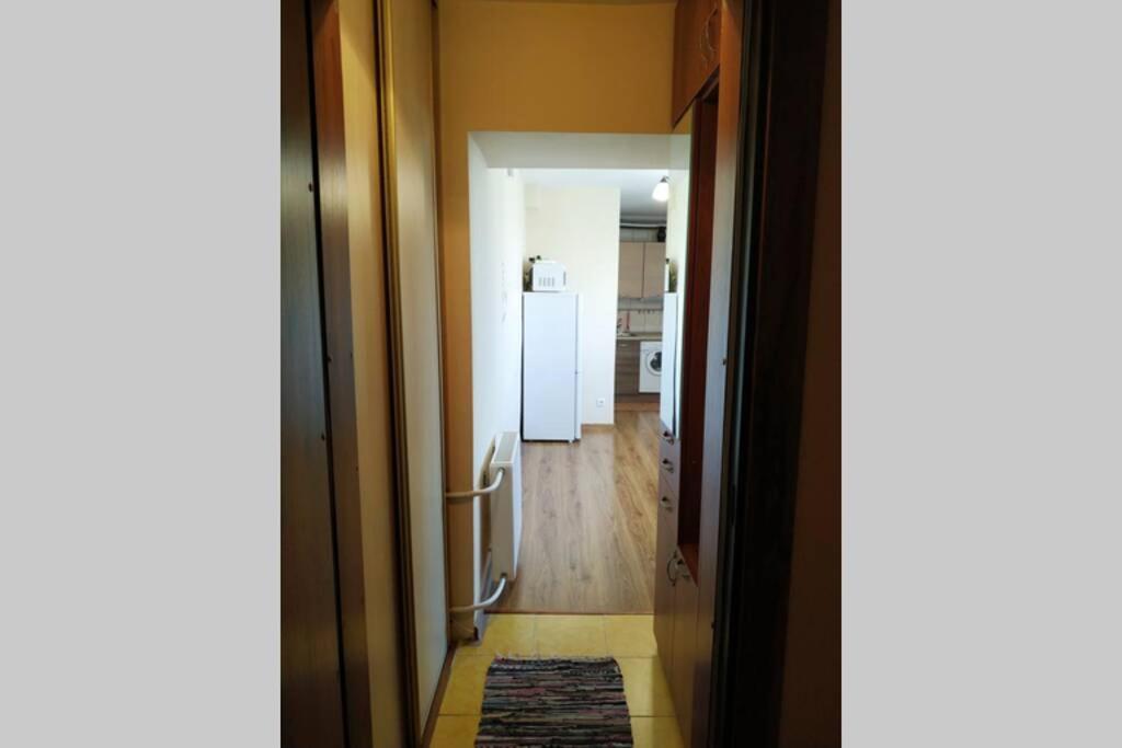 9Th Floor Amazing View Central Studio Apartment VNO Dış mekan fotoğraf